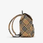 Check Backpack - Image 4