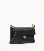 Small Flap Bag
