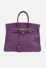 Hermes Cassis Chevre Myzore Birkin Handbag